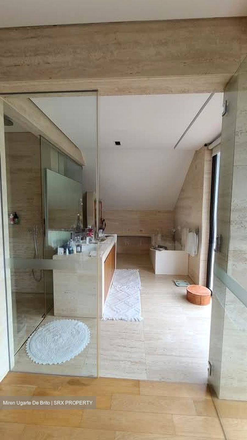 Raffles Park (D11), Detached #576830311